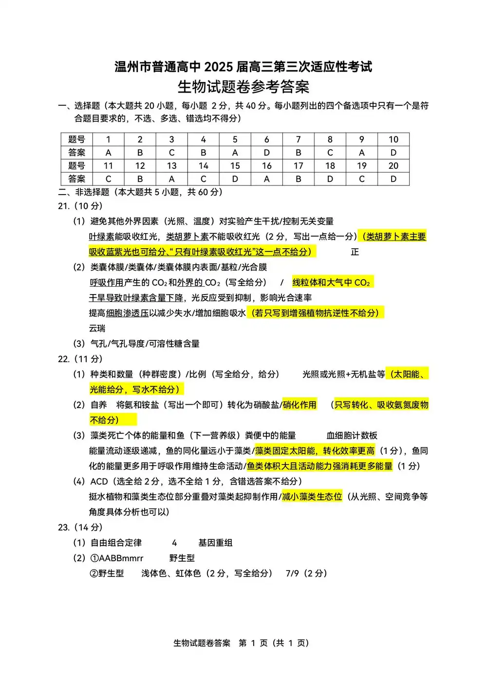 暂无预览
