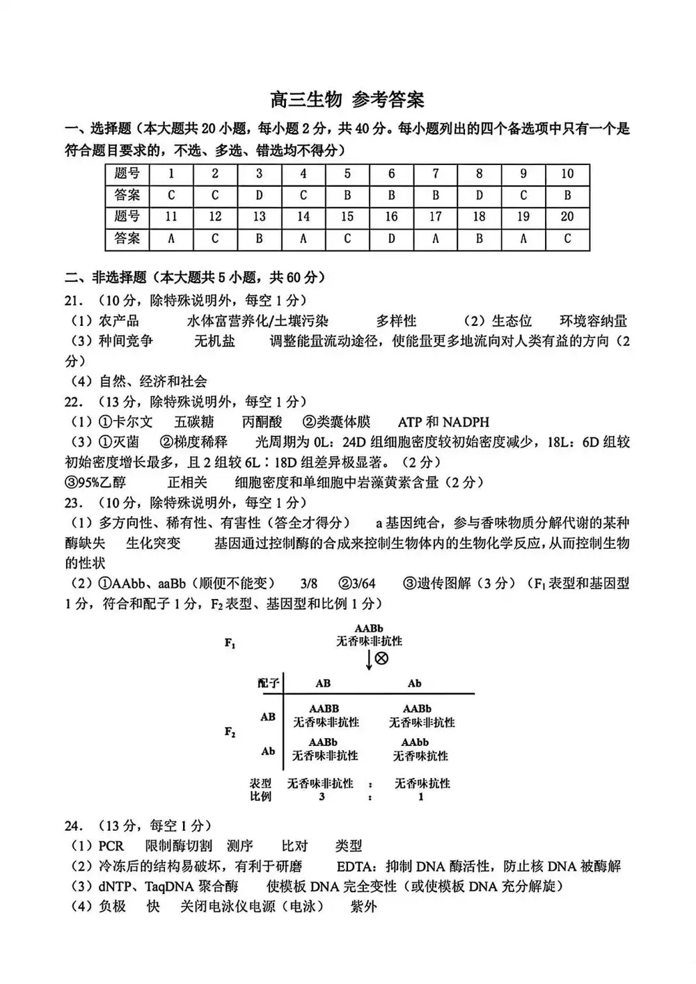 暂无预览