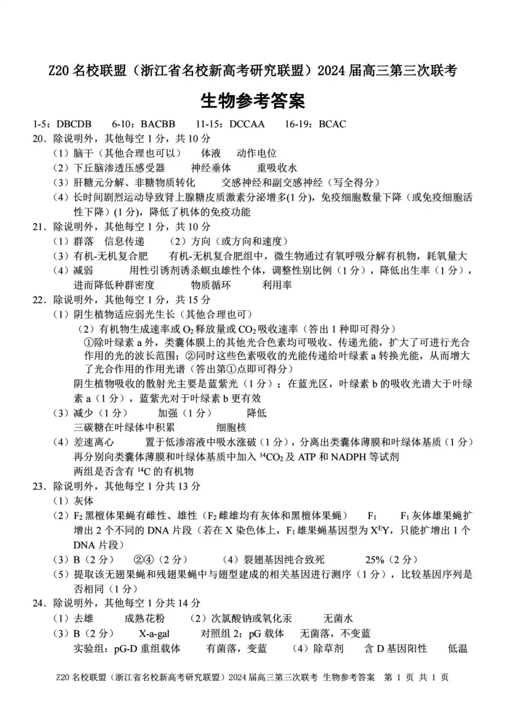 暂无预览