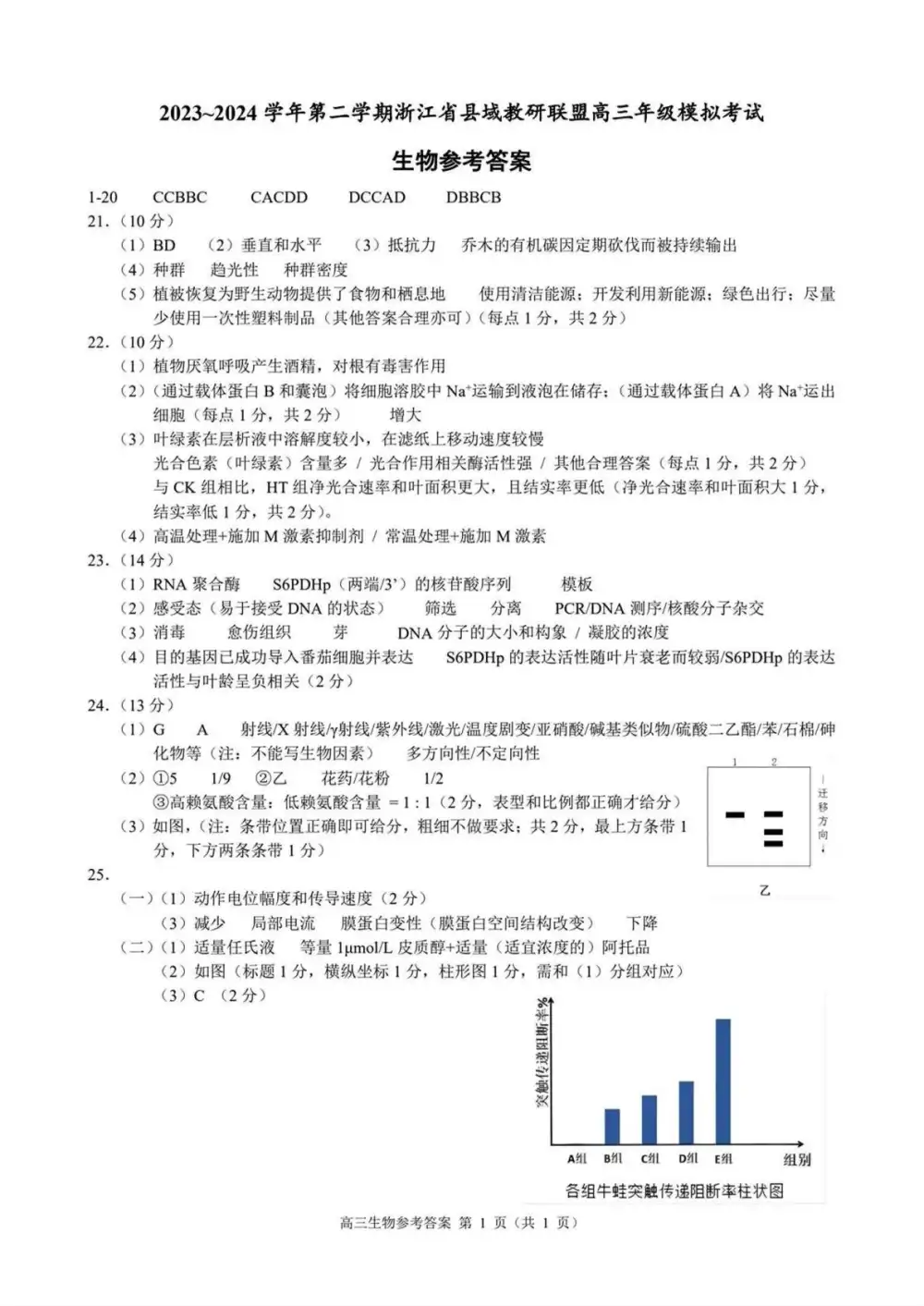 暂无预览