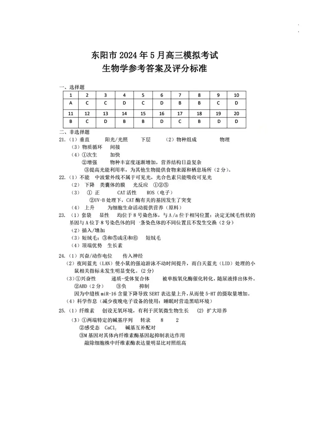 暂无预览