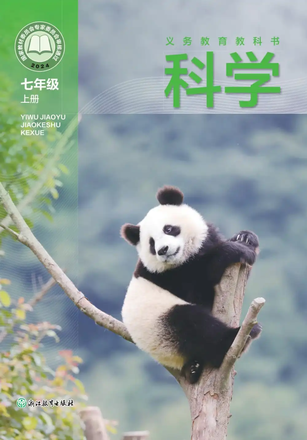 暂无预览