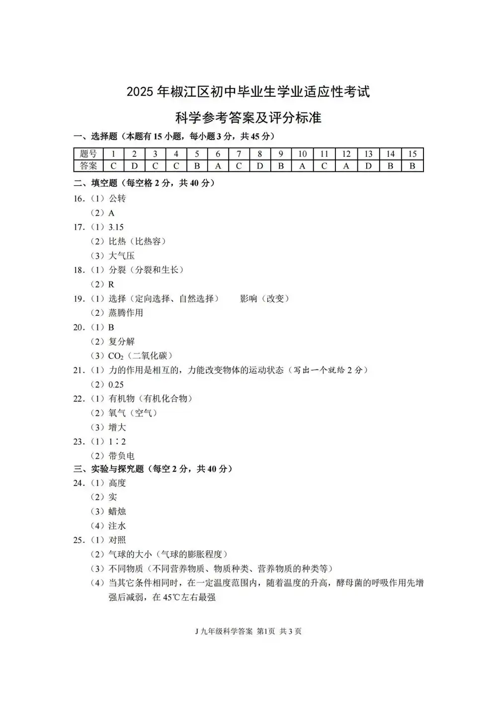 暂无预览