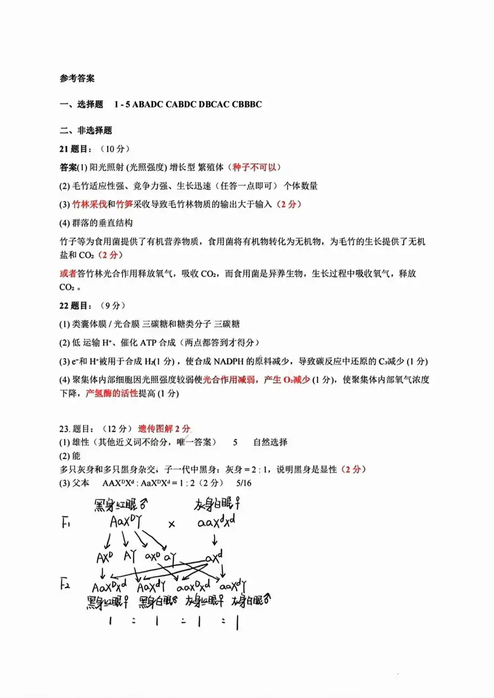 暂无预览