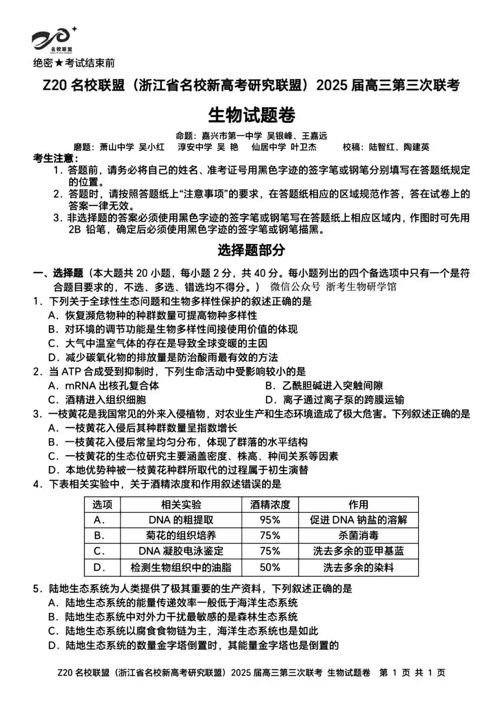 暂无预览