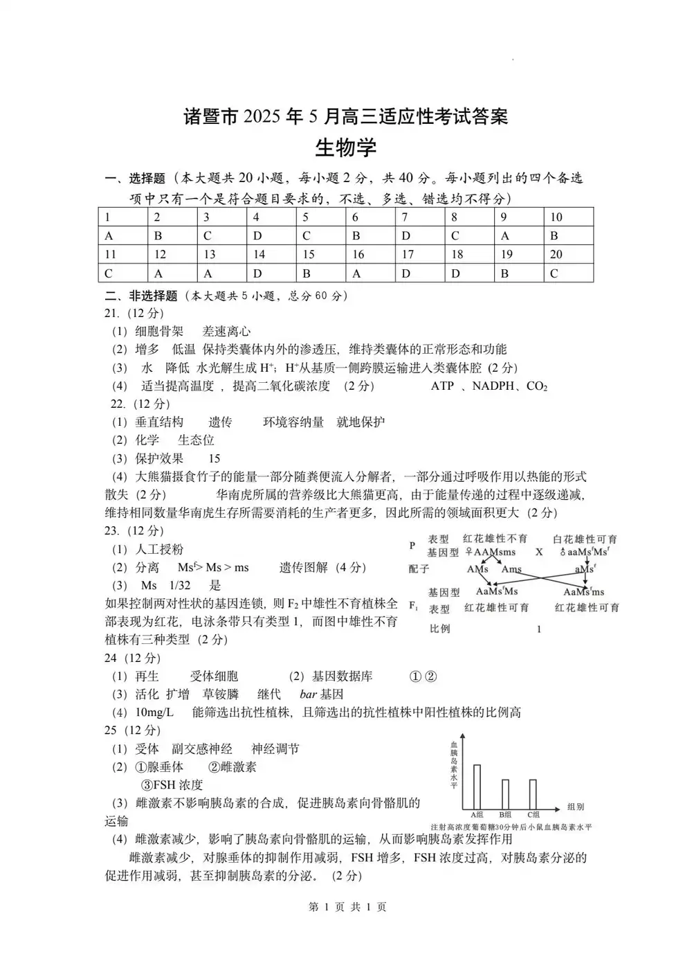 暂无预览