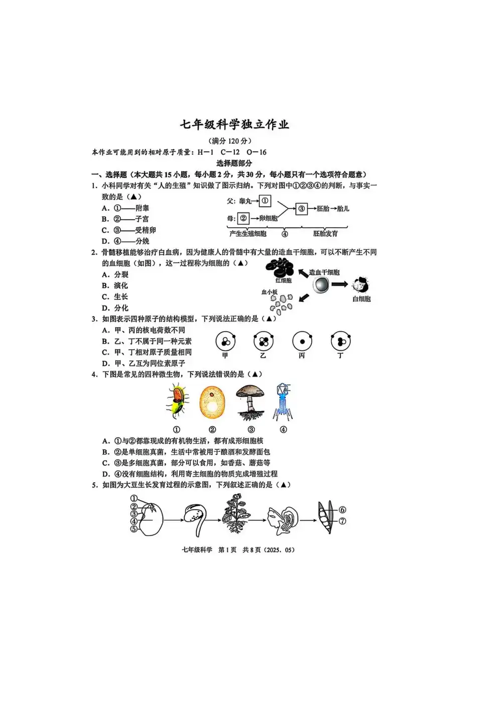 暂无预览