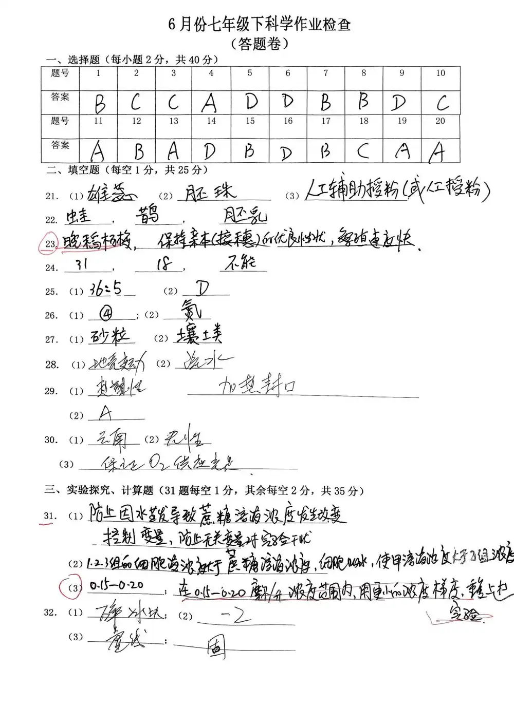 暂无预览