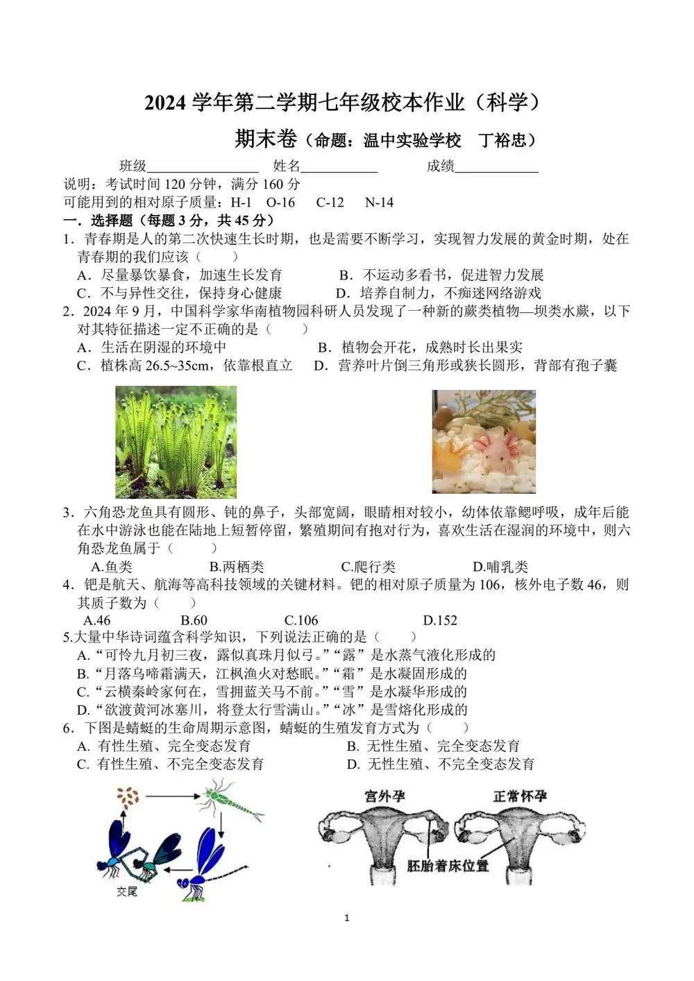 暂无预览