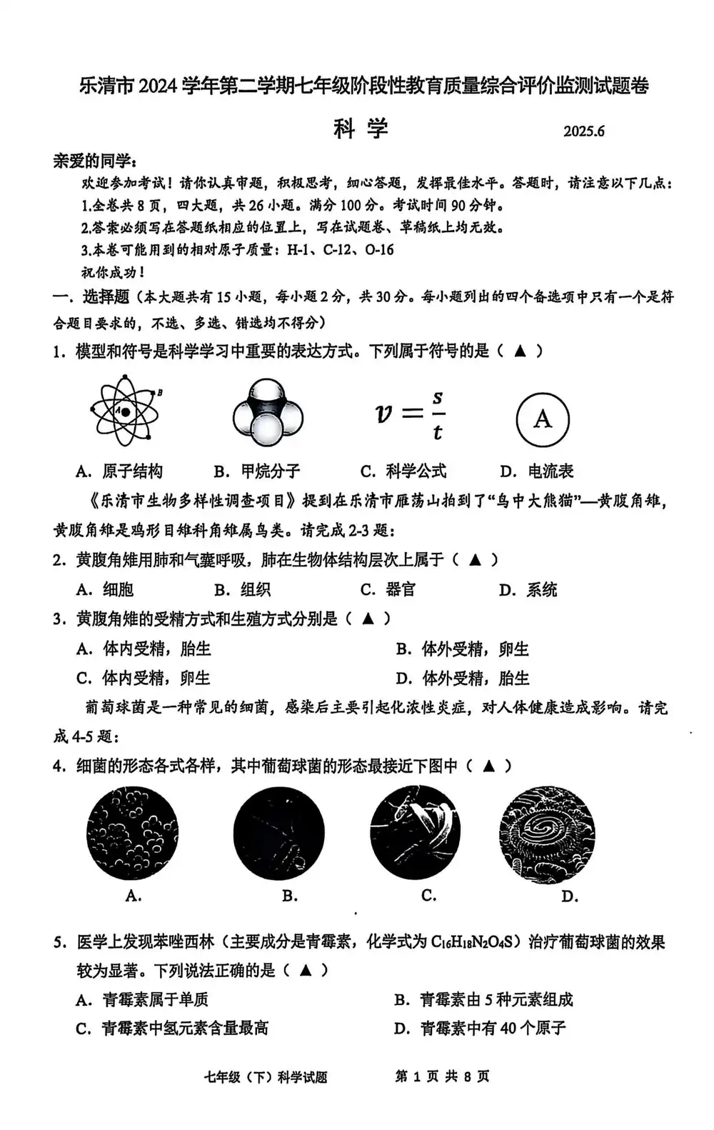 暂无预览