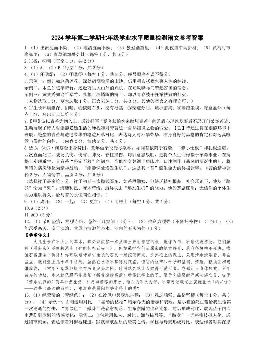 暂无预览