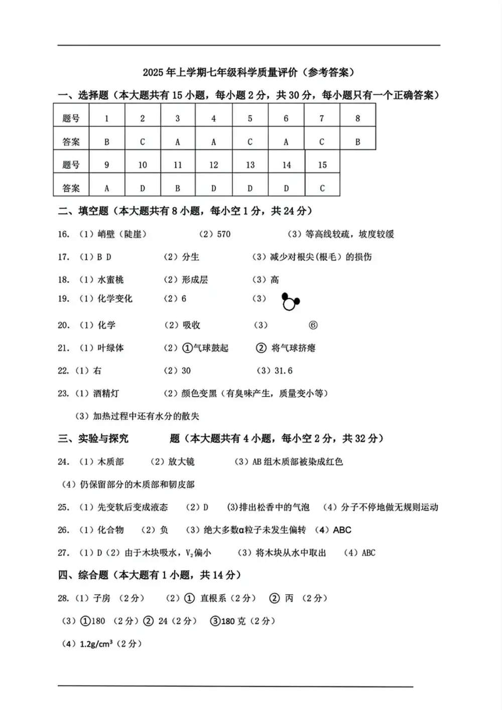 暂无预览