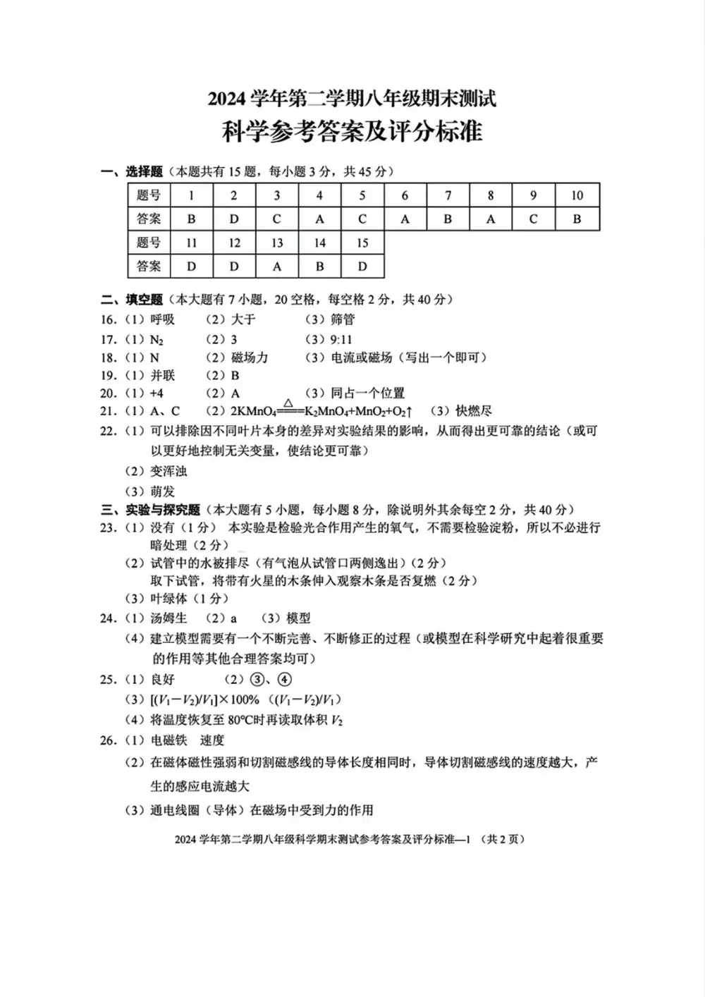 暂无预览
