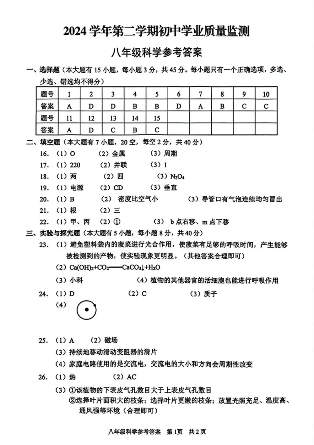 暂无预览