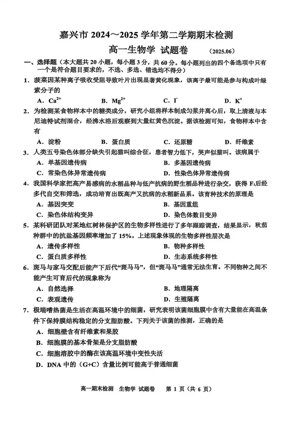 暂无预览