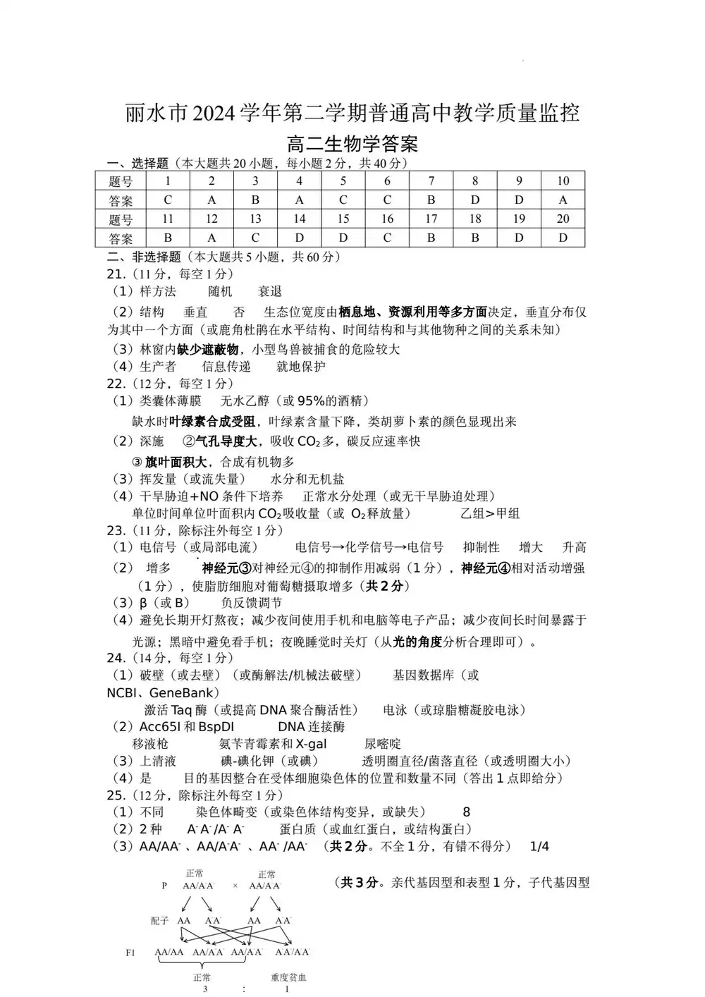 暂无预览