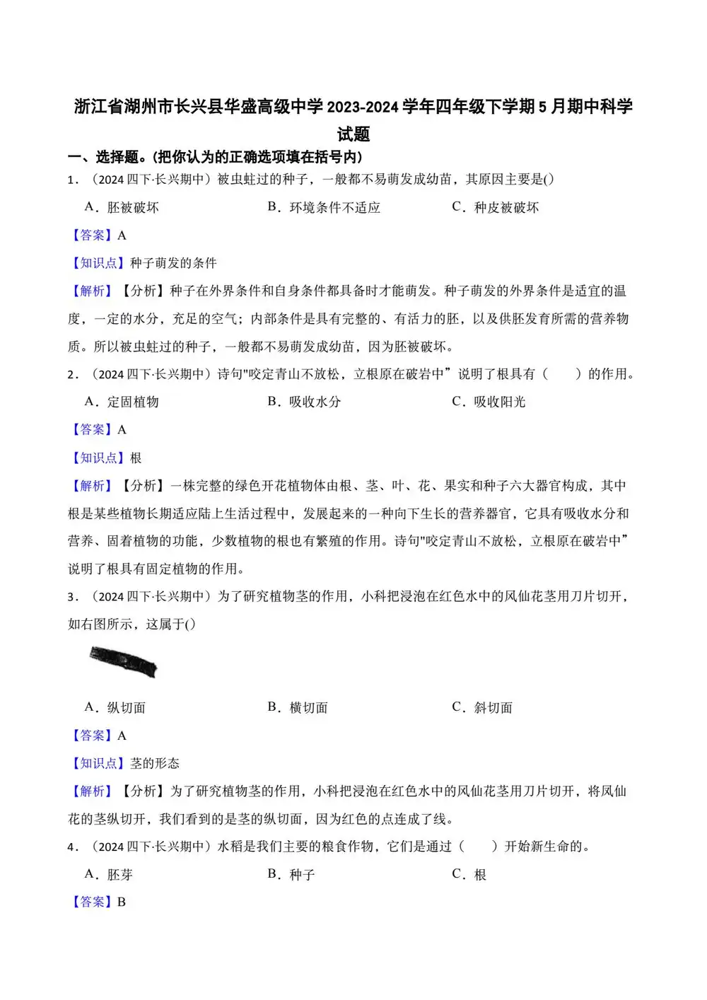 暂无预览