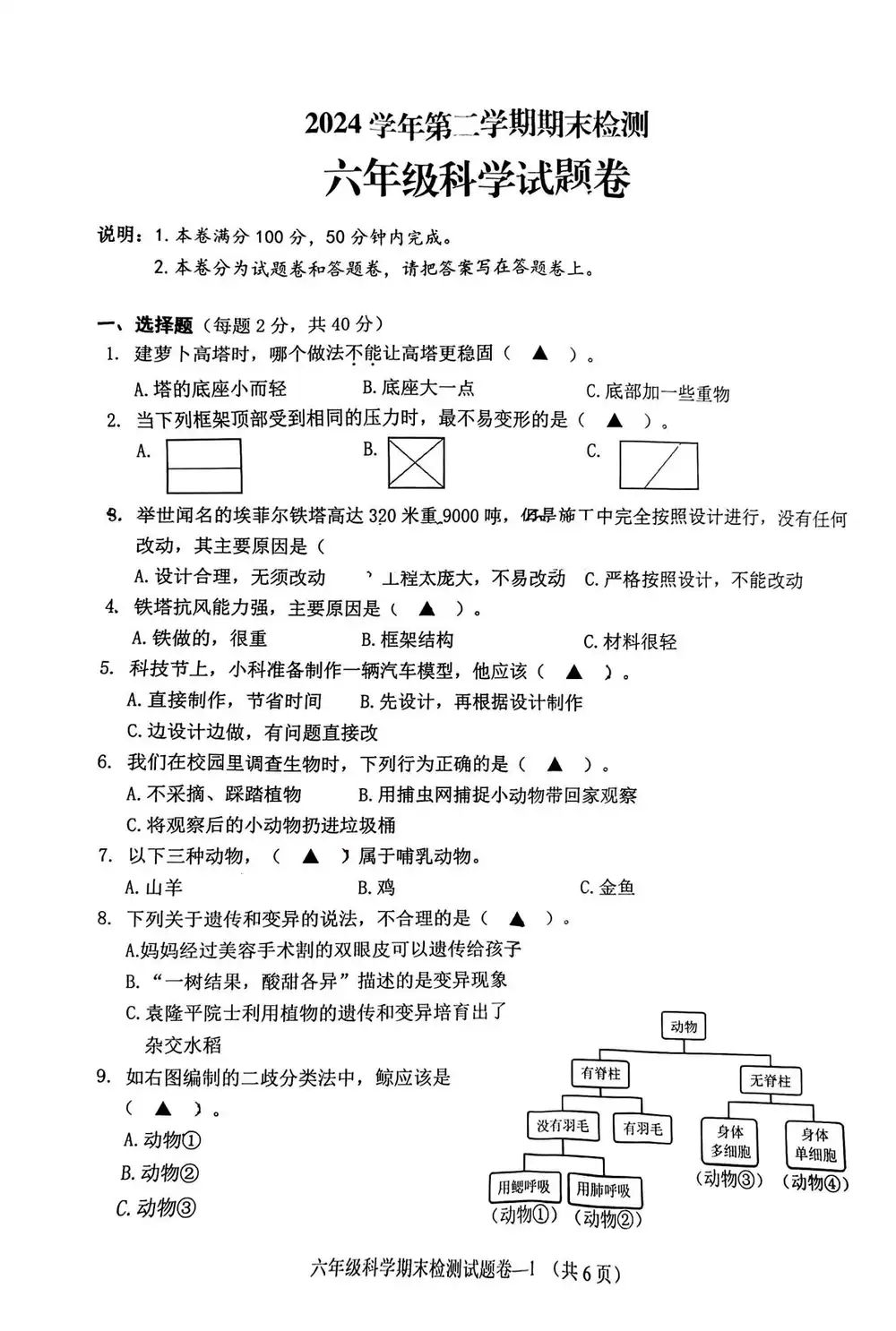 暂无预览