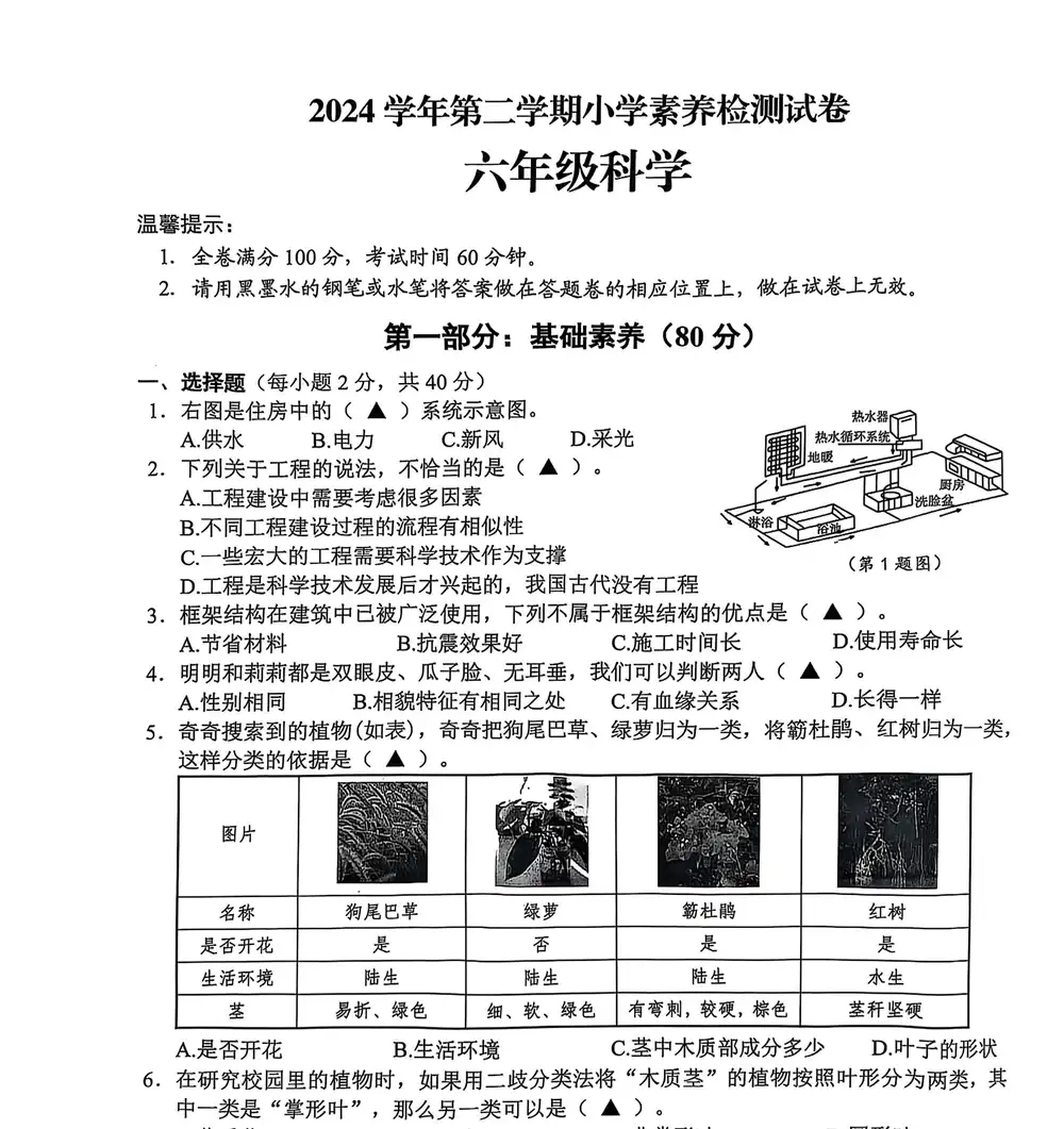 暂无预览
