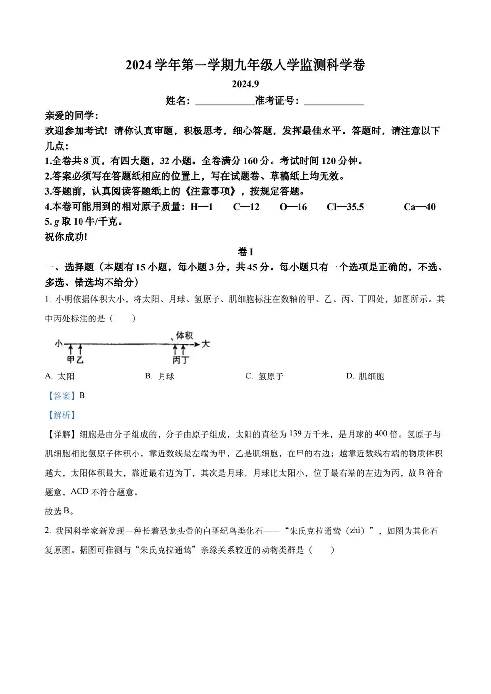 暂无预览