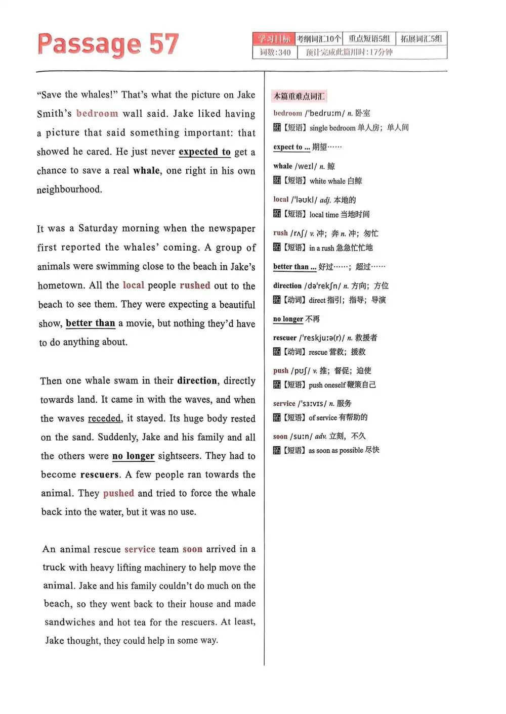 暂无预览