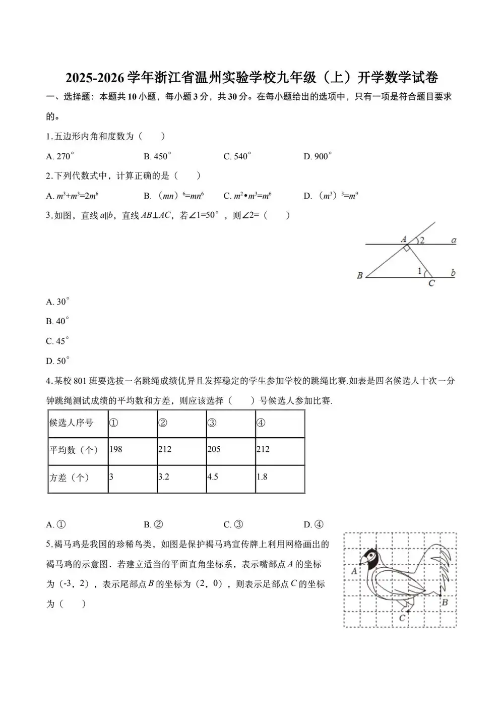 暂无预览