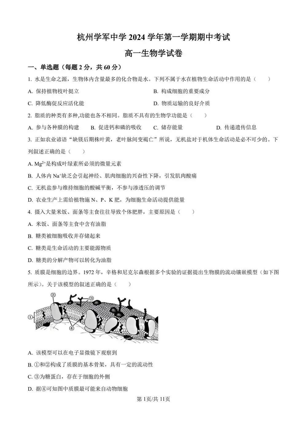 暂无预览
