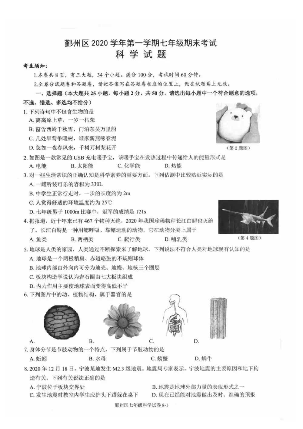 暂无预览