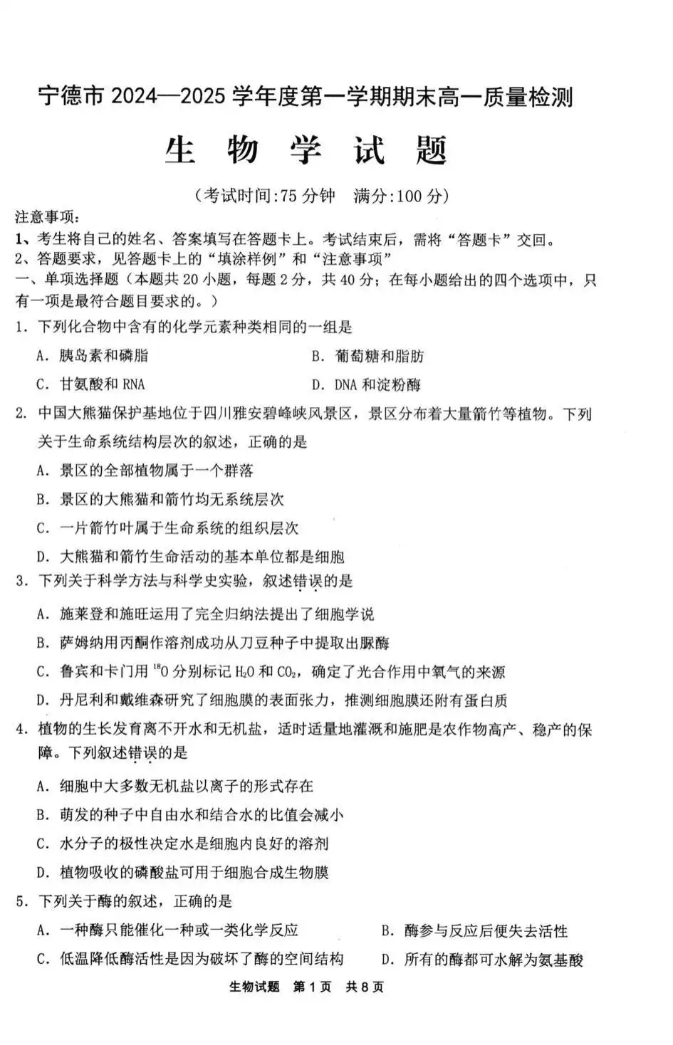 暂无预览