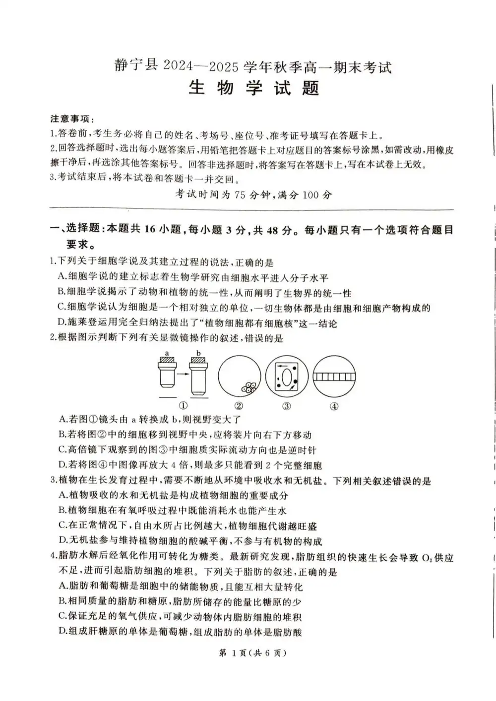 暂无预览