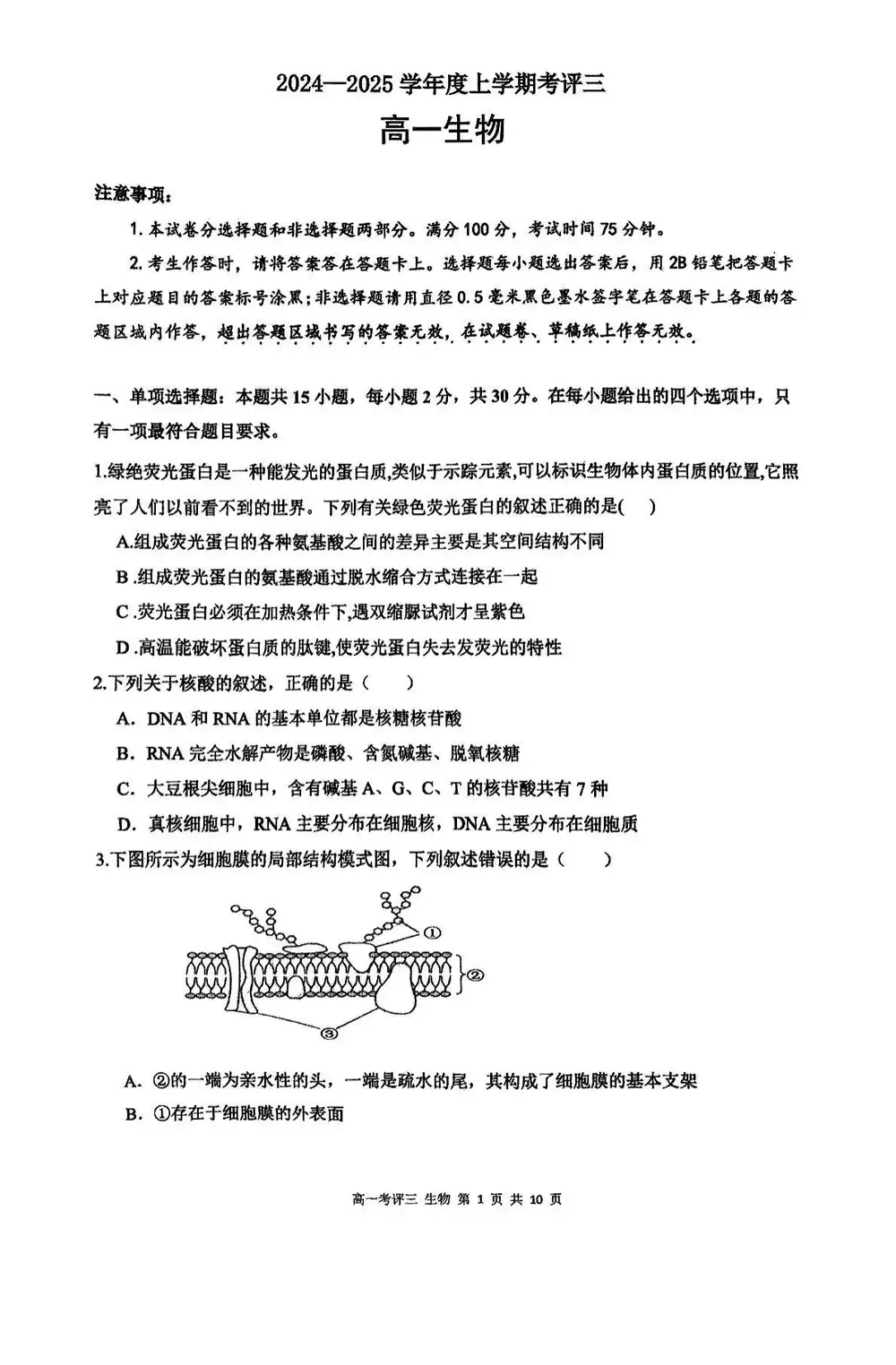暂无预览