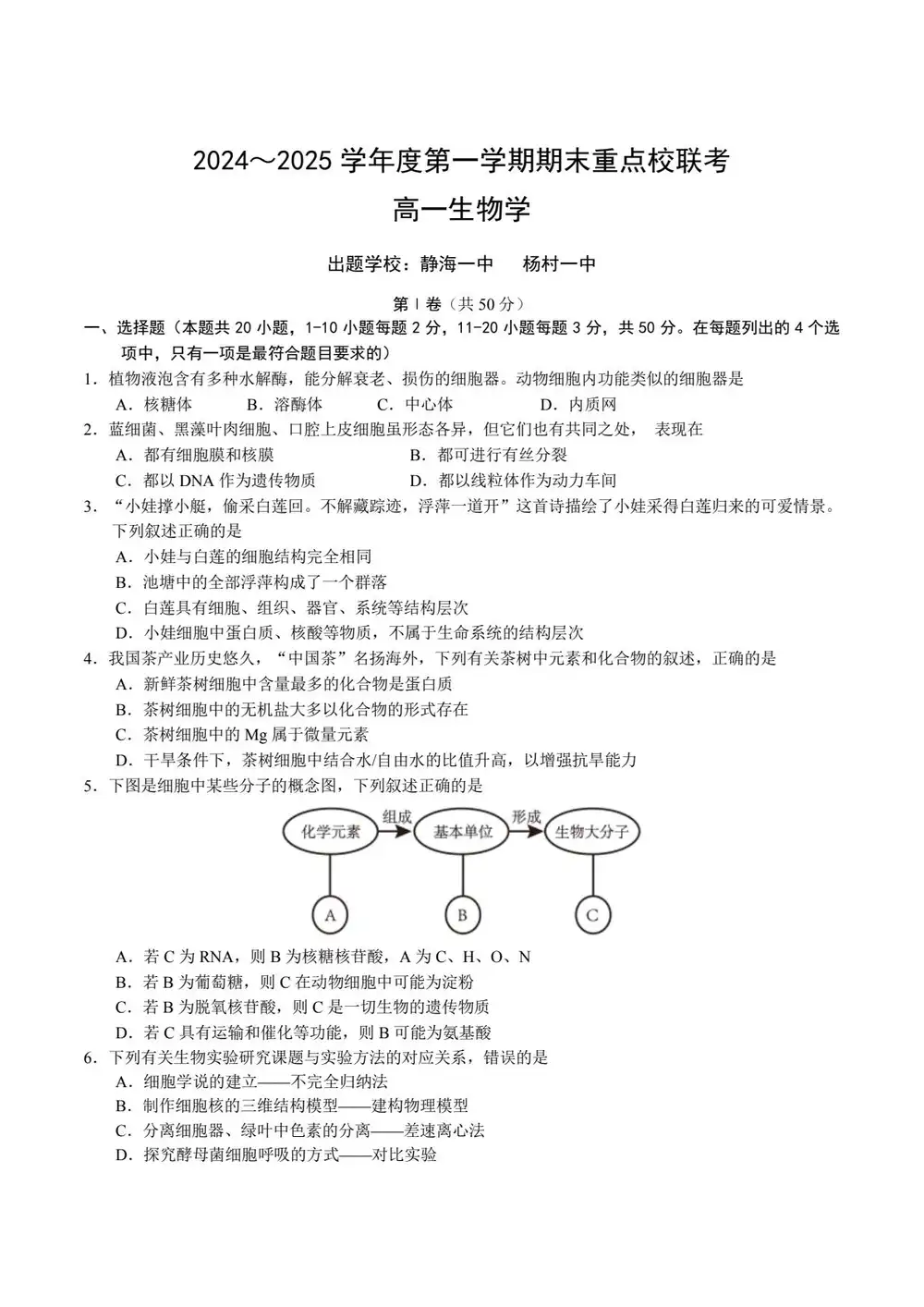 暂无预览