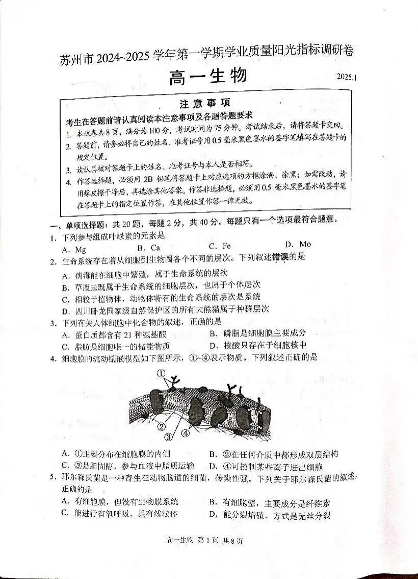 暂无预览