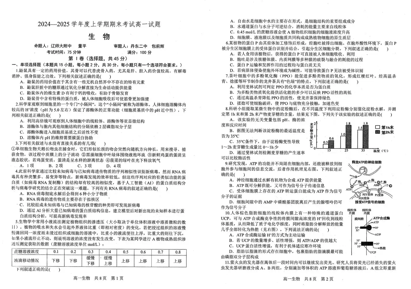 暂无预览