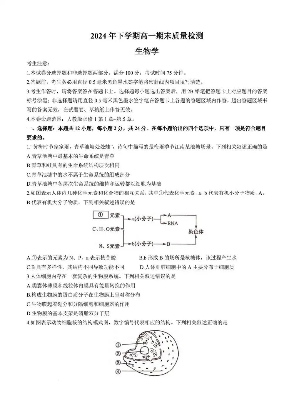 暂无预览