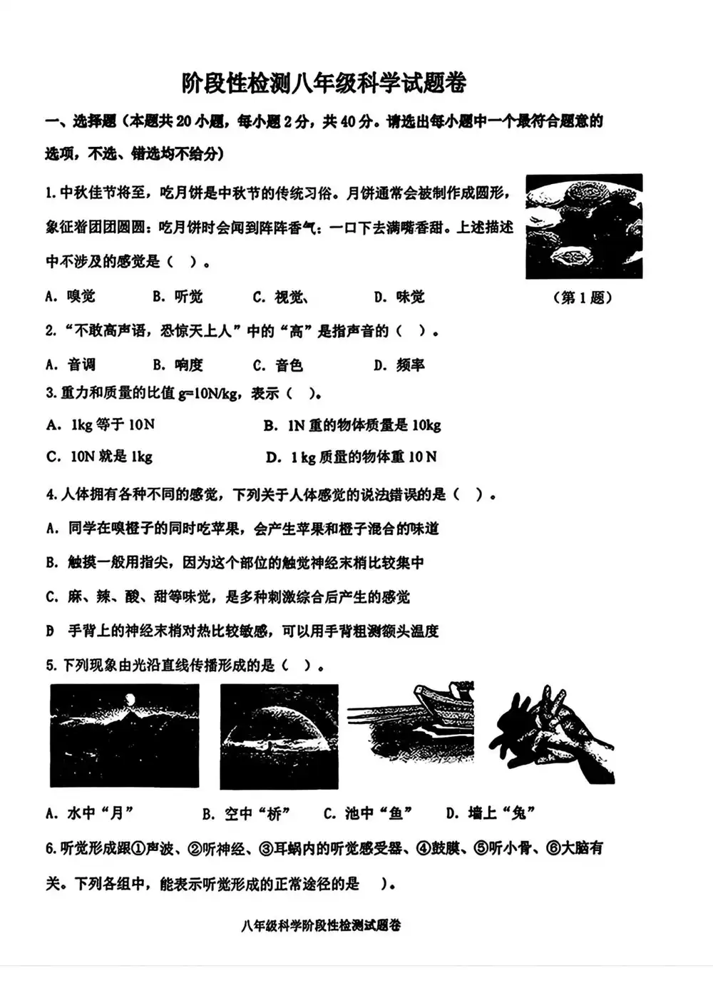 暂无预览
