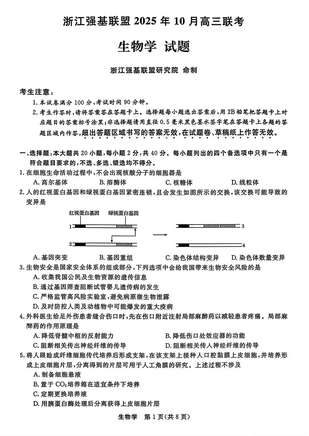 暂无预览