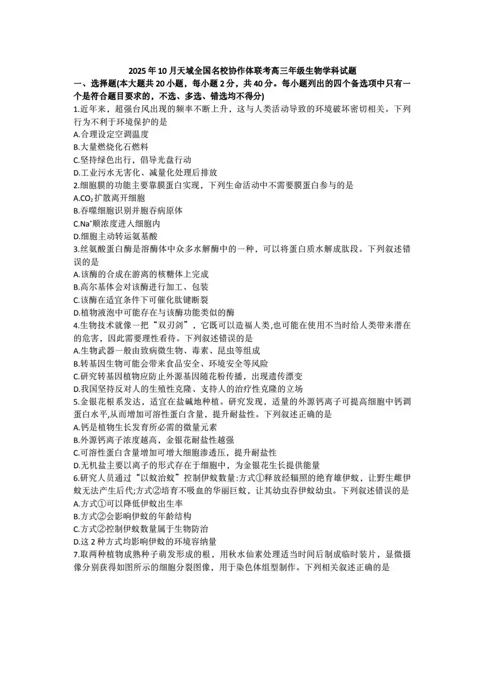 暂无预览
