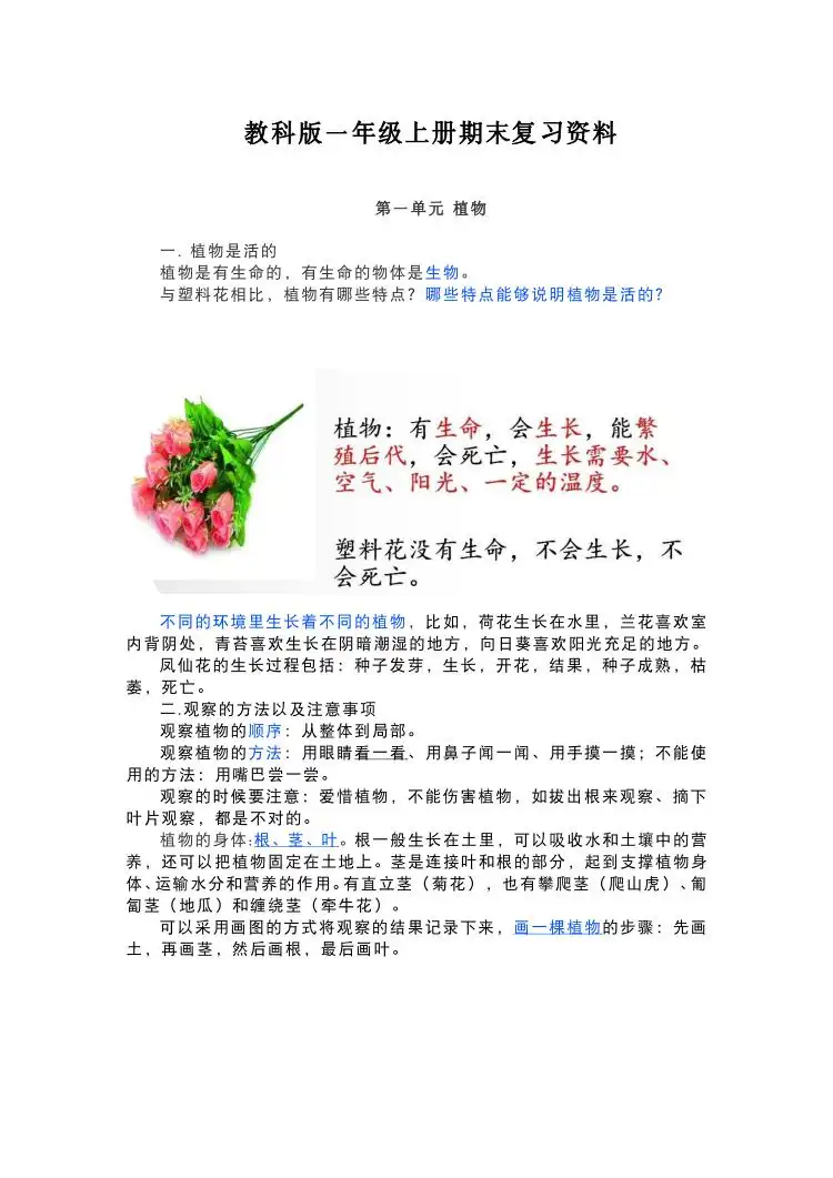 暂无预览