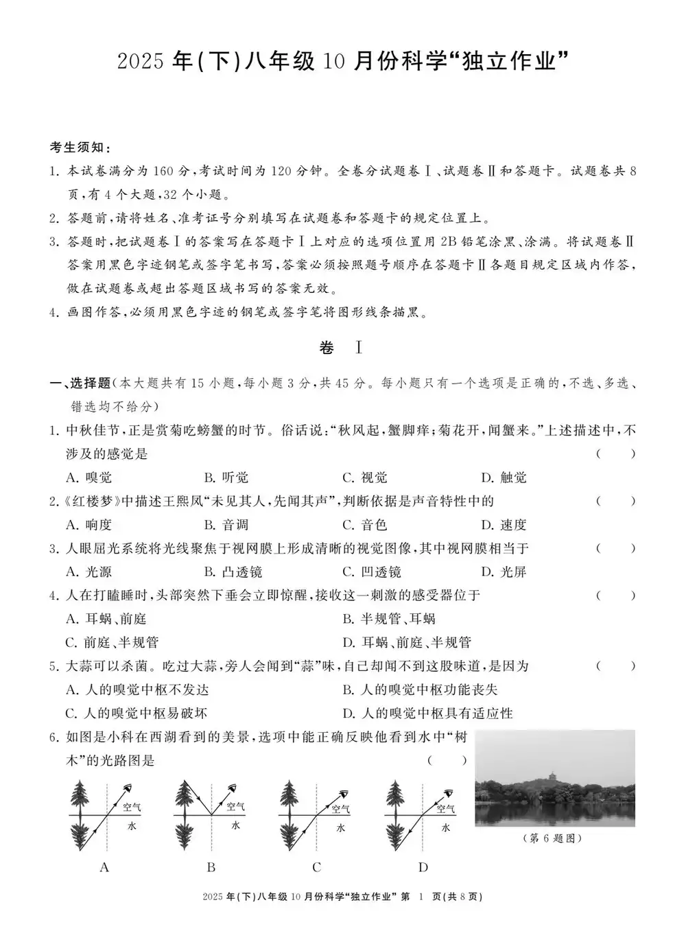 暂无预览