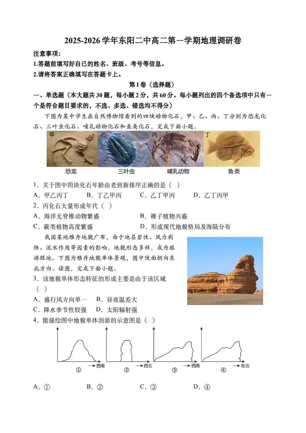 暂无预览