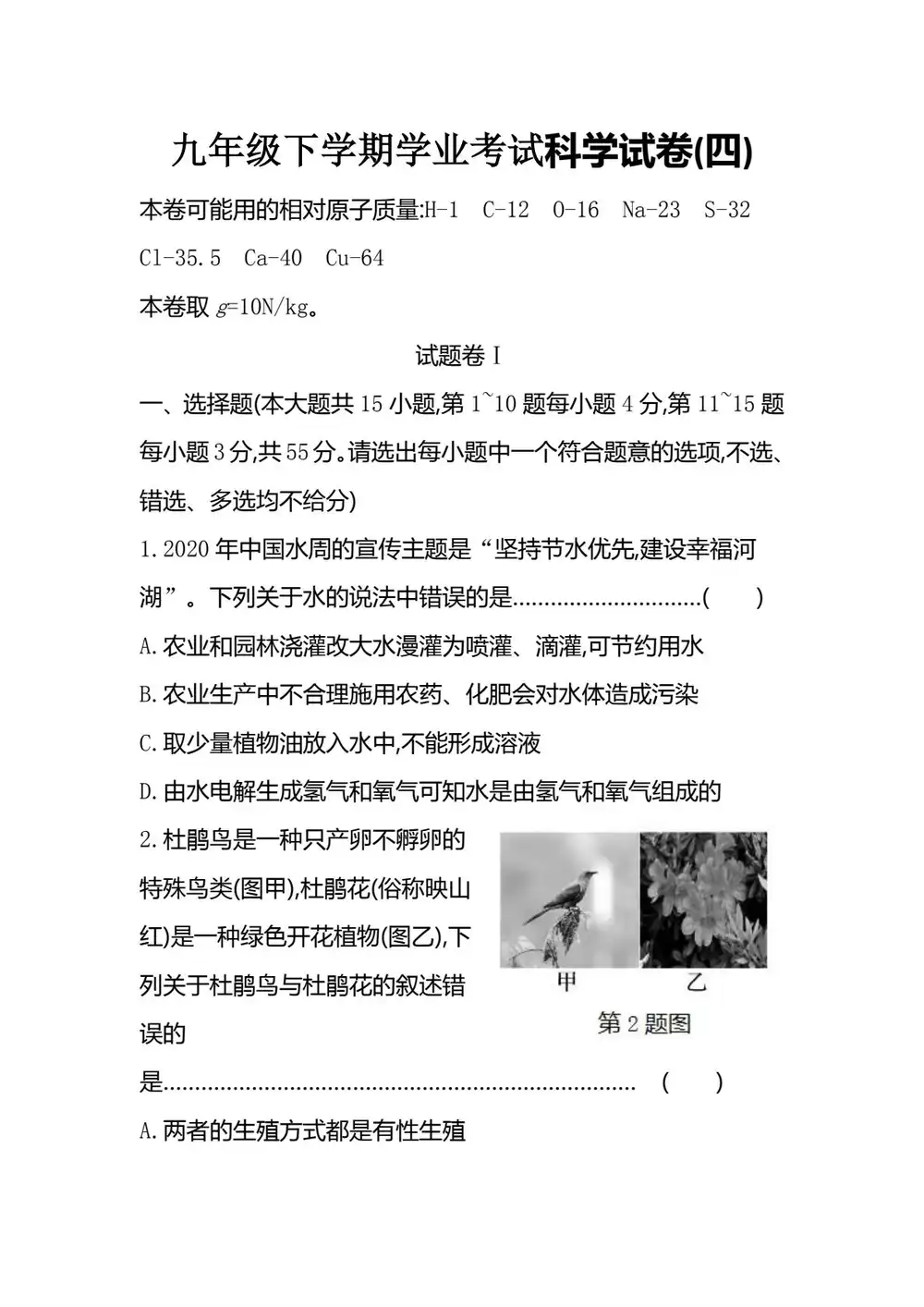 暂无预览