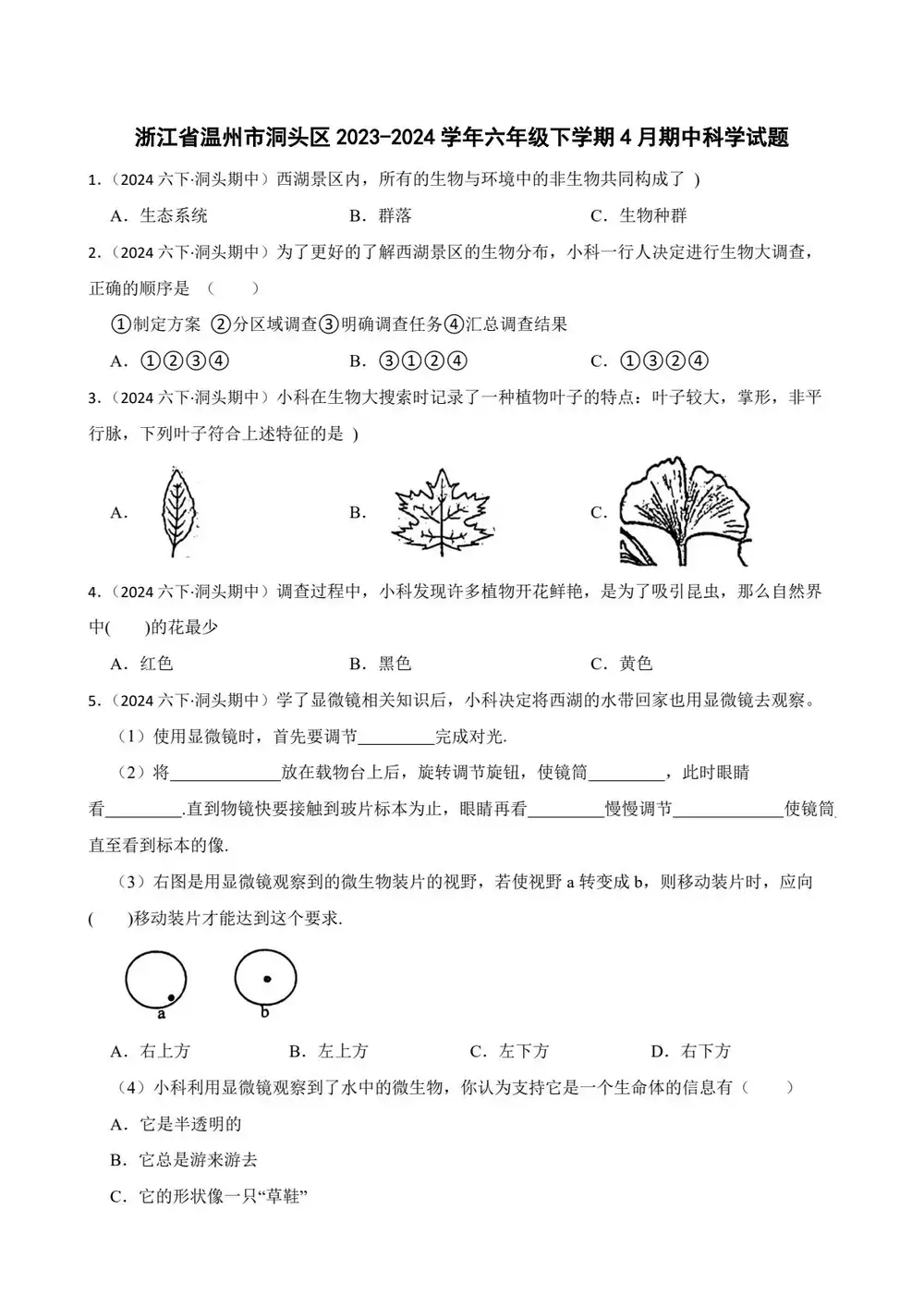 暂无预览