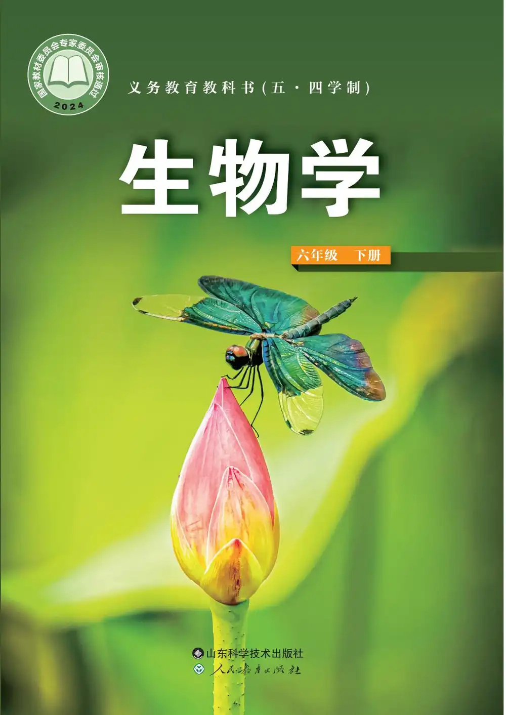 暂无预览