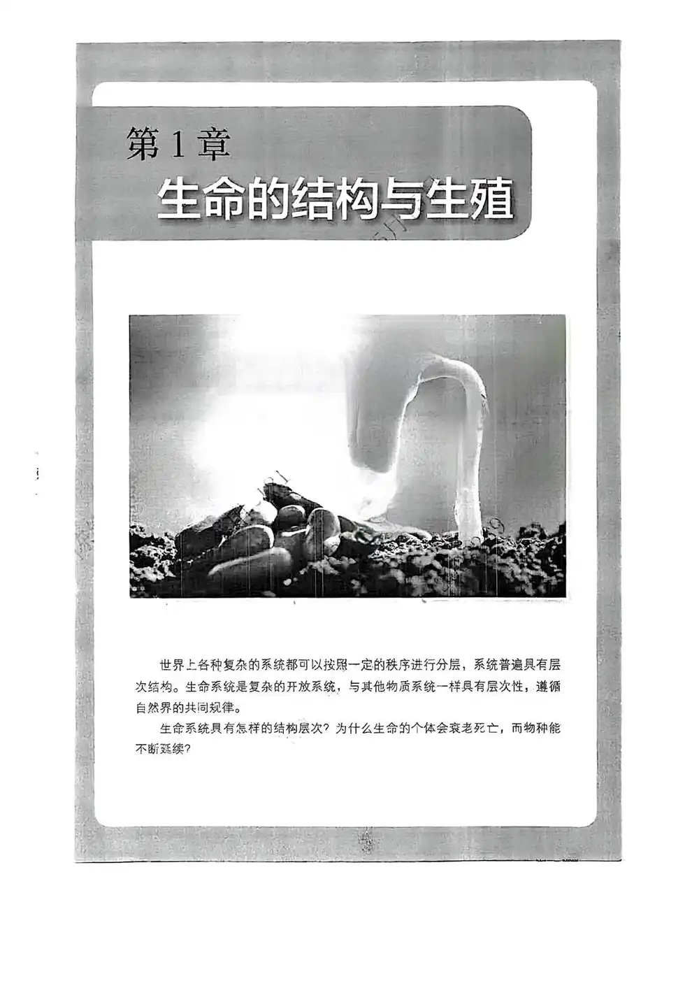 暂无预览