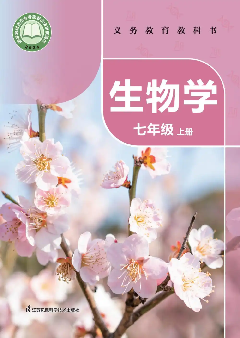 暂无预览