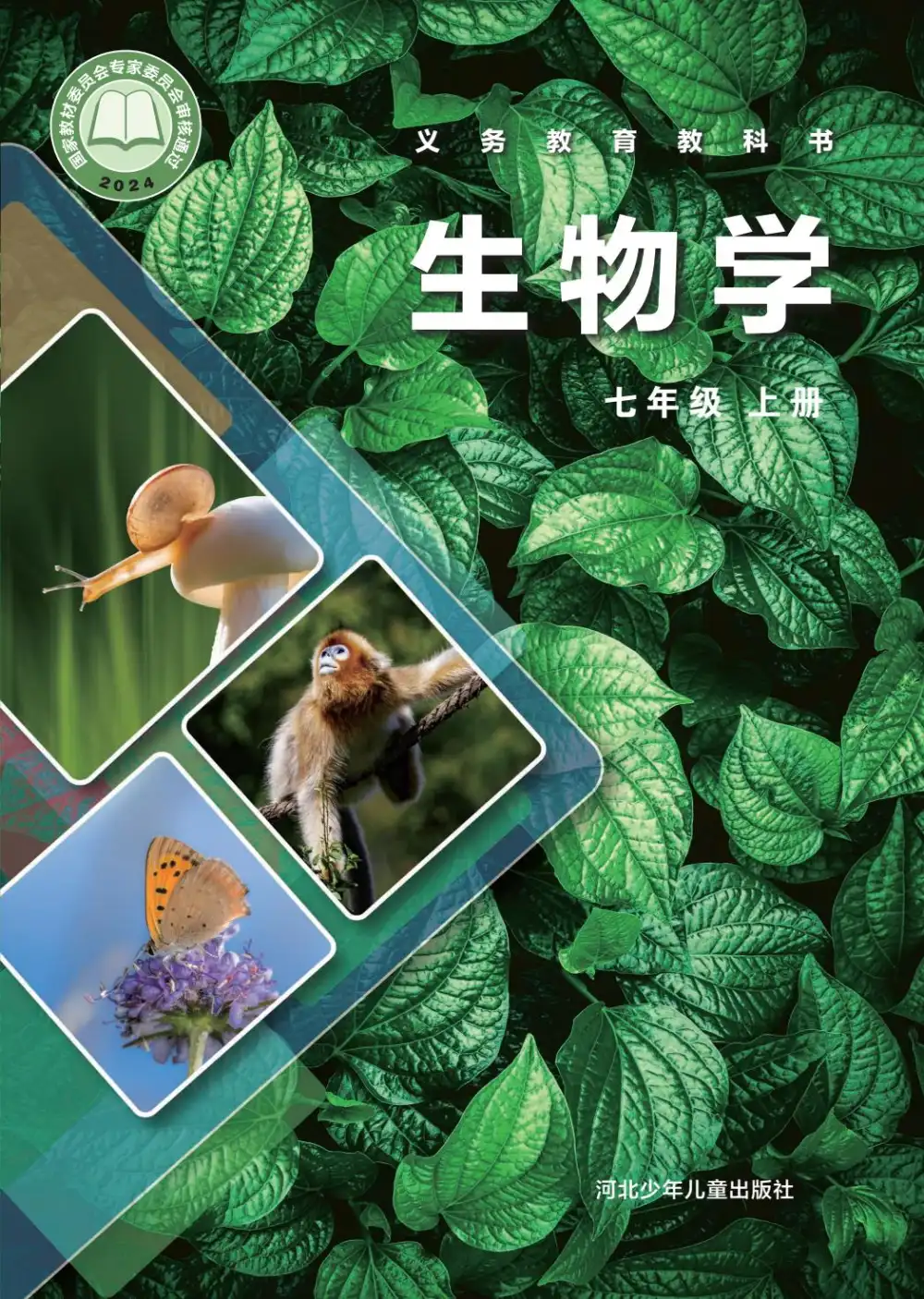 暂无预览