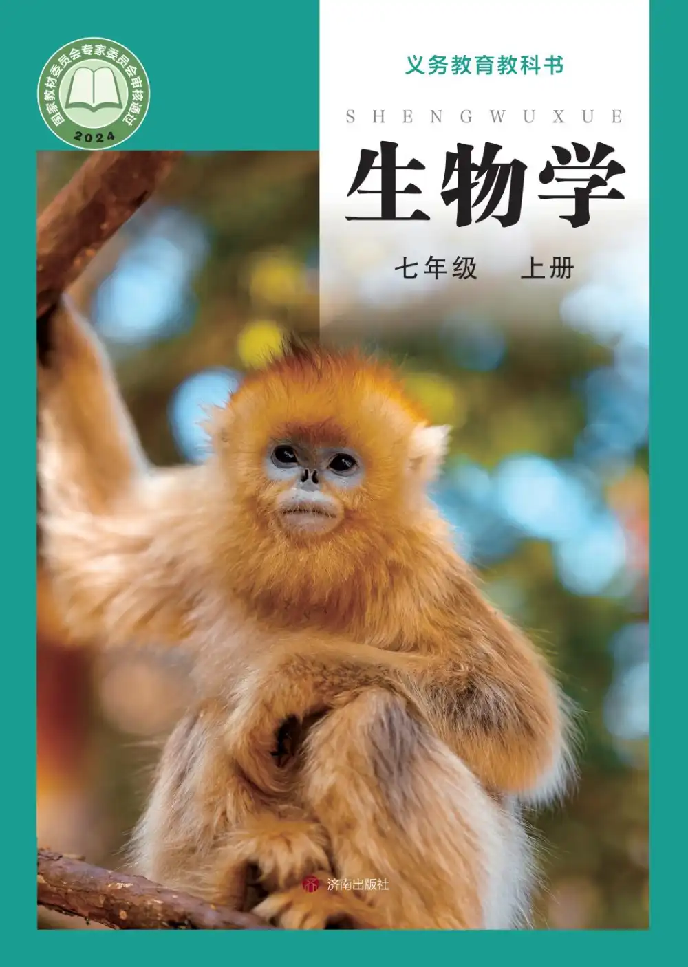 暂无预览