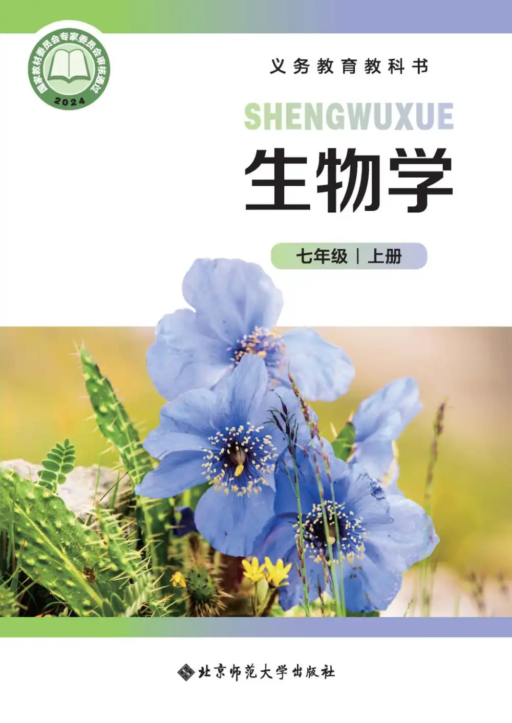 暂无预览
