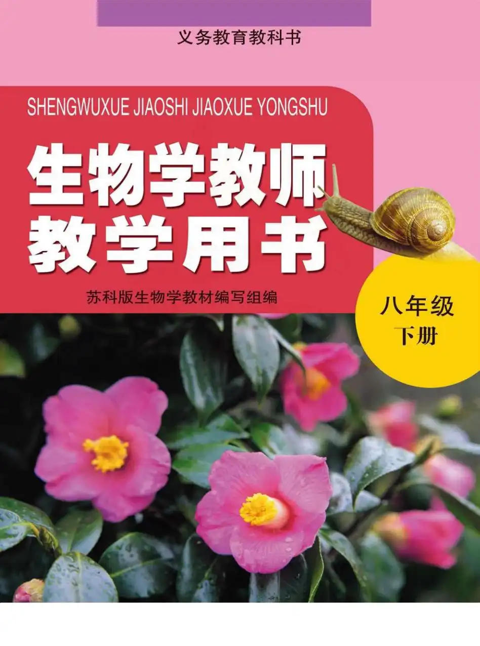 暂无预览